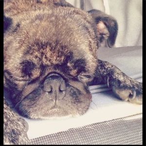 Meet your Posher, Karalyn